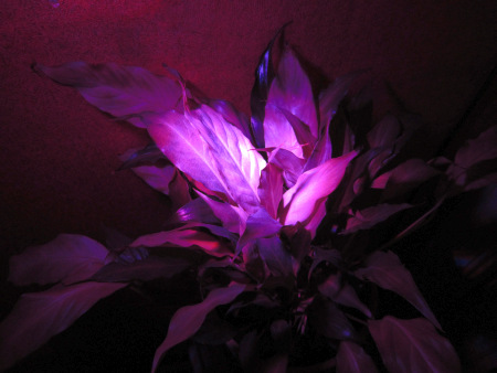 Отзыв Надежды Георгиевны