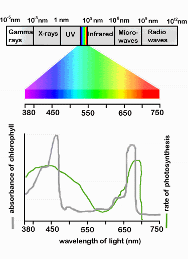 Электромагнитный спектр