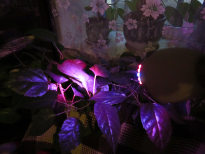 Отзыв Галины Васильевны