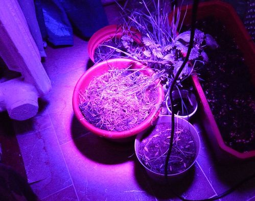 Фото отзыв 2