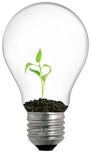 Свет для растений